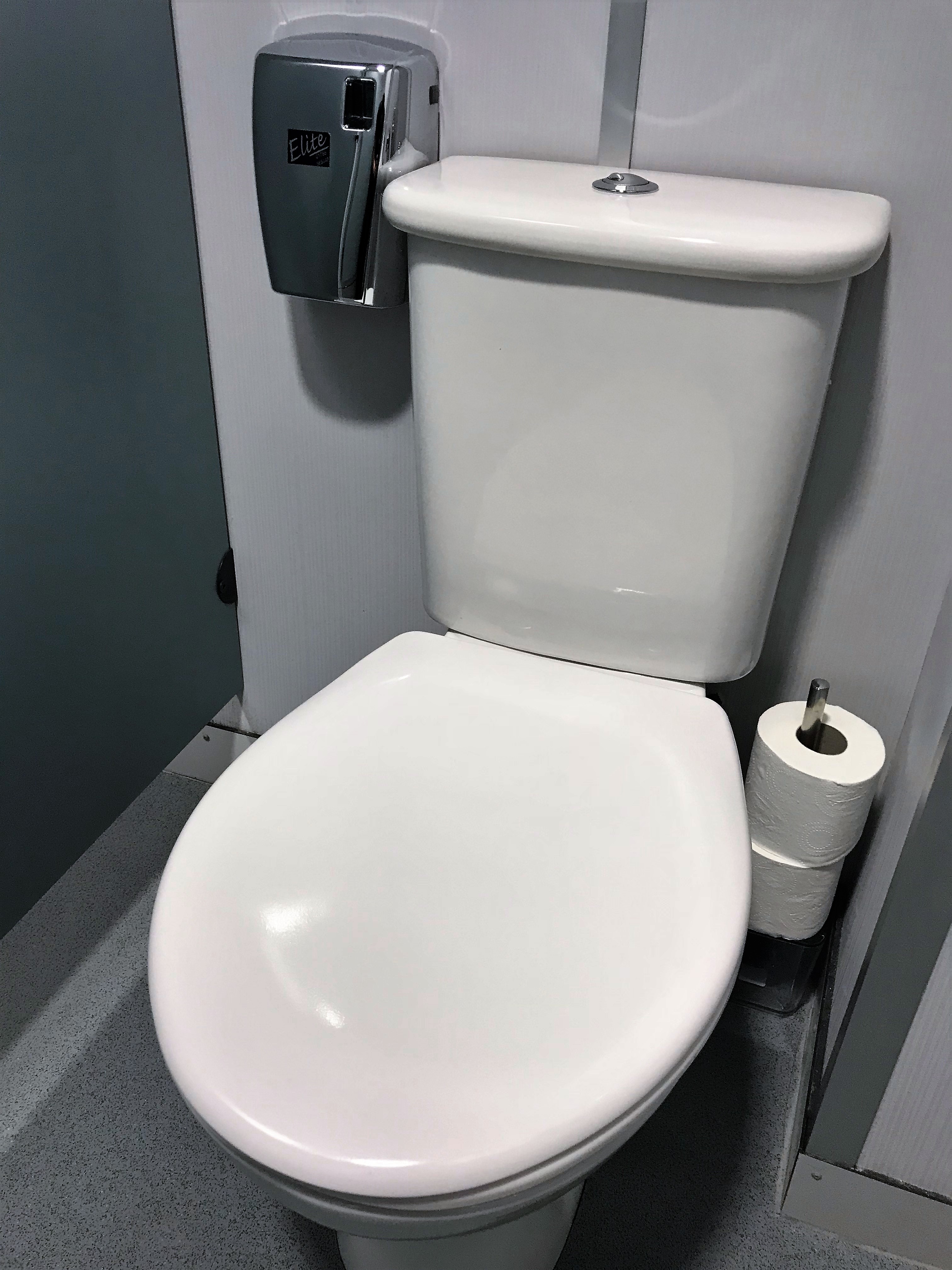 Washroom services: Urinal and WC treatment