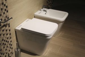Washroom services shown by a clean toilet and bidet